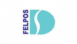 Domingos Sousa Logo